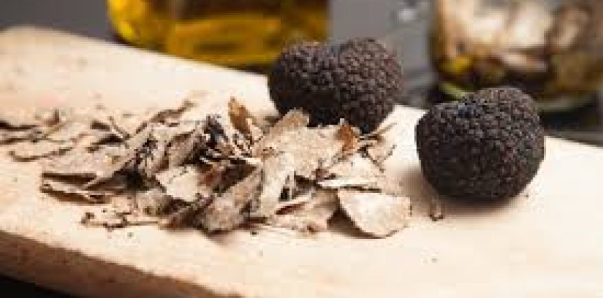 Les différentes manières de conserver les truffes