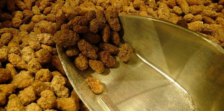 Les cacahuètes grillées : un snack universel et polyvalent