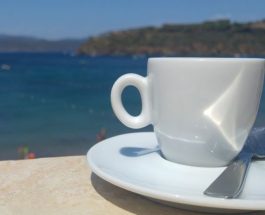 Zoom sur la capsule Dolce Gusto